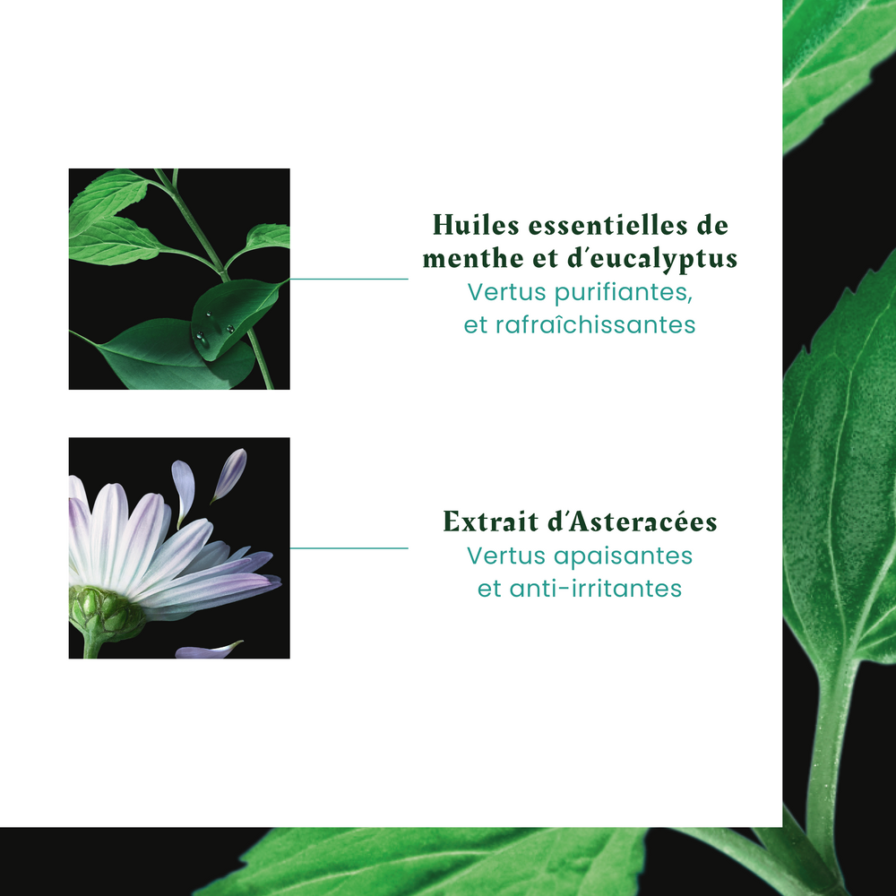 Shampooing Astera Fresh - René Furterer