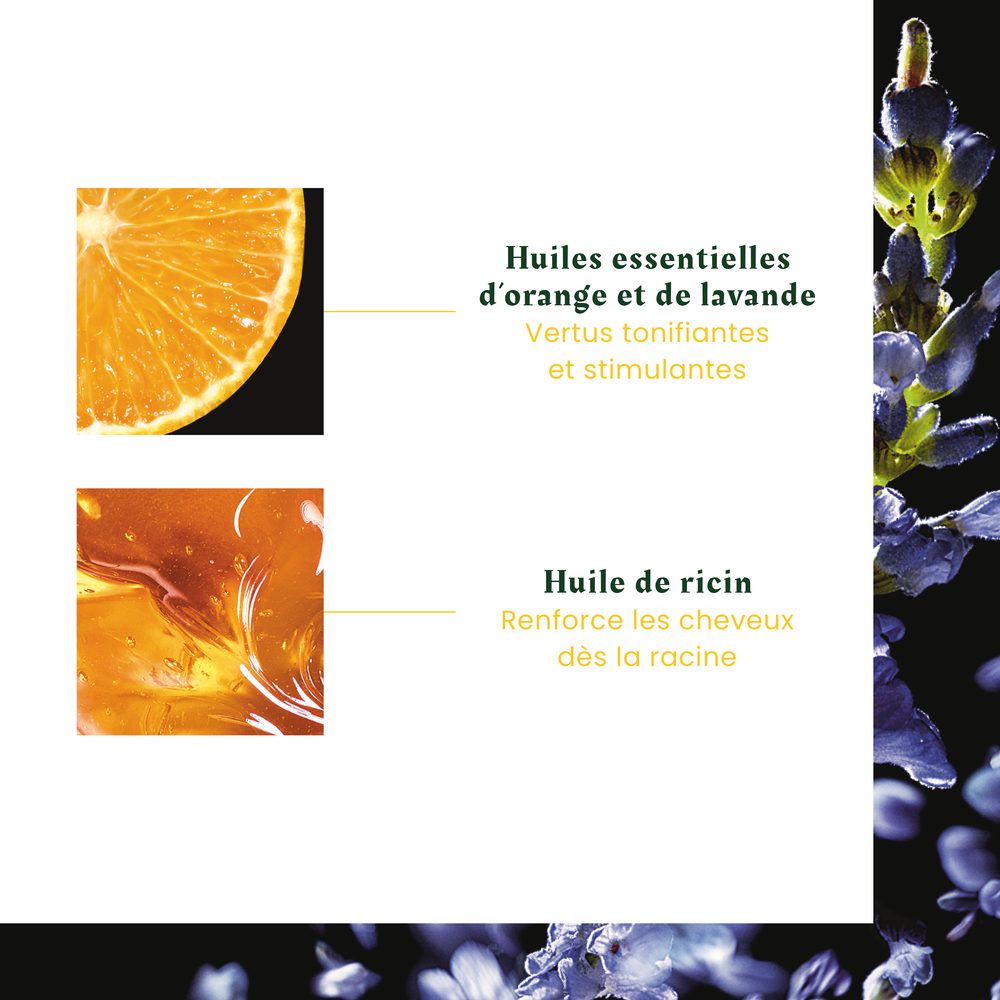 Concentré Végétal Énergisant Complexe 5 - René Furterer