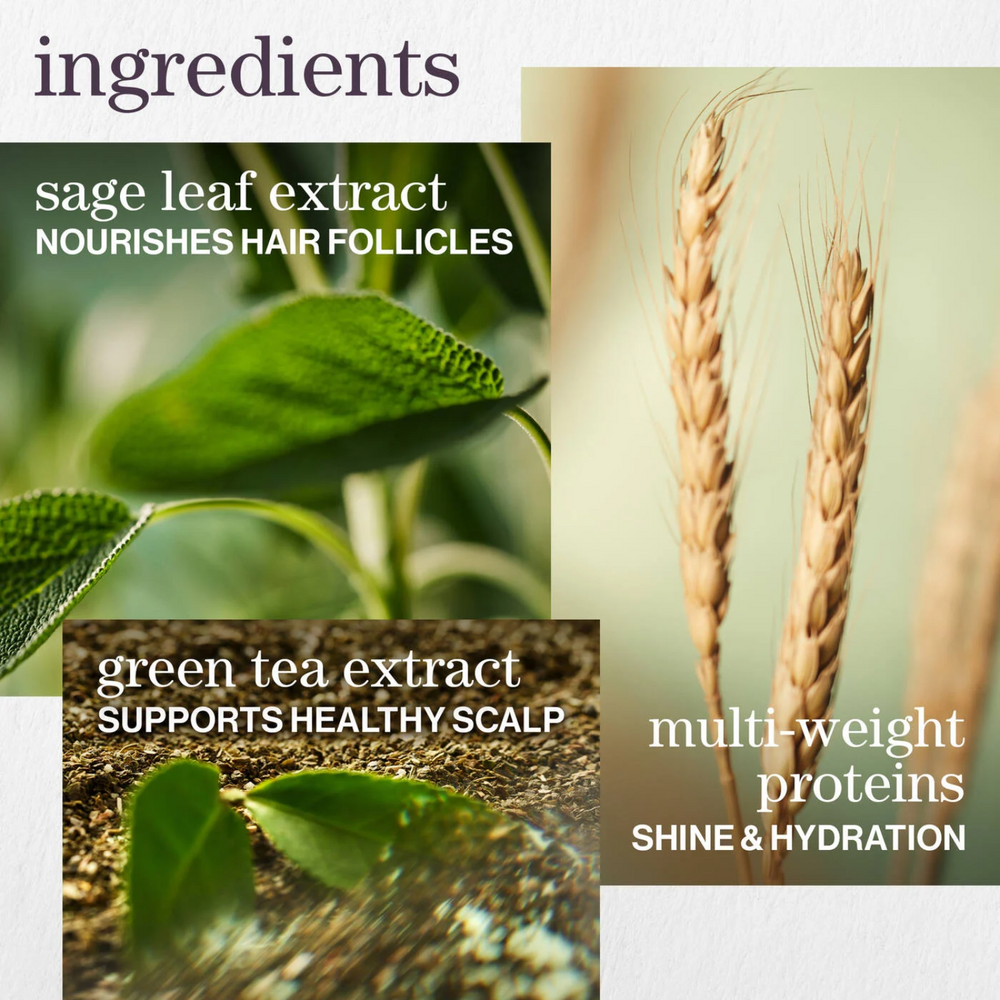 Revitalisant Hydrate Conditioner Pureology 266 ml, soin hydratant vegan sans sulfates pour cheveux secs et colorés