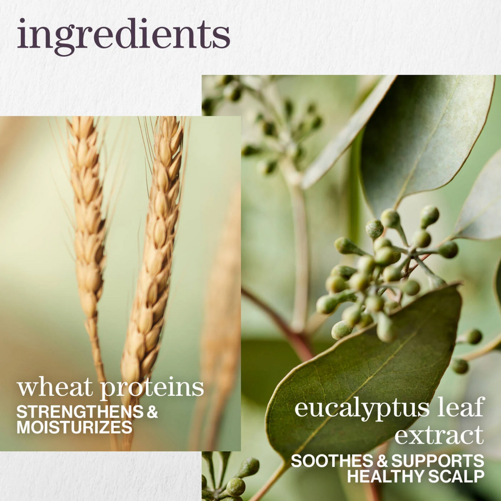 Flacon de Pureology Hydrate Sheer Conditioner 266 ml – soin démêlant léger pour cheveux fins et colorés