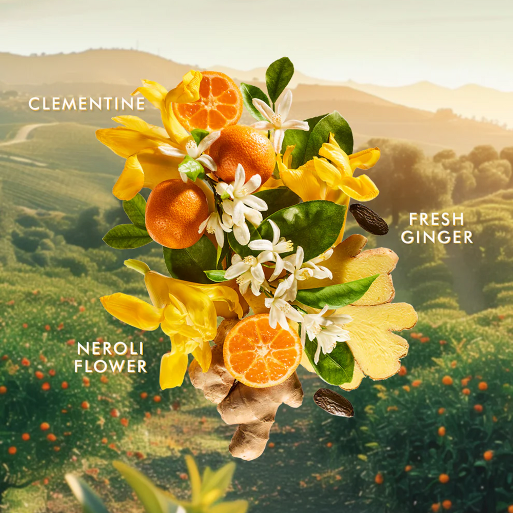 Flacon 360 ml Moroccanoil Body Lotion Soleil de Tanger, lotion corps hydratante parfum agrumes et gingembre à l’huile d’argan