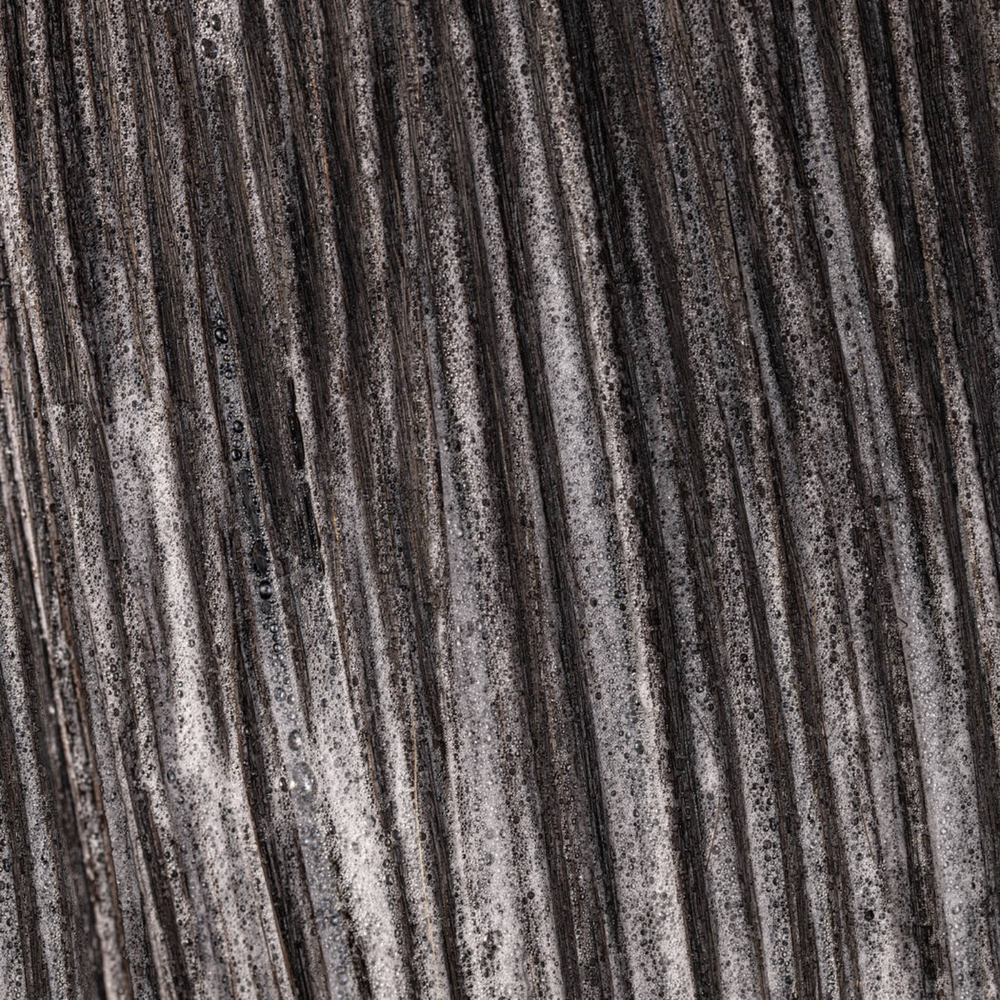 Conditionneur Nanoworks Gold de Pureology – soin vegan luxe réparateur avec huile de marula pour cheveux colorés ternes