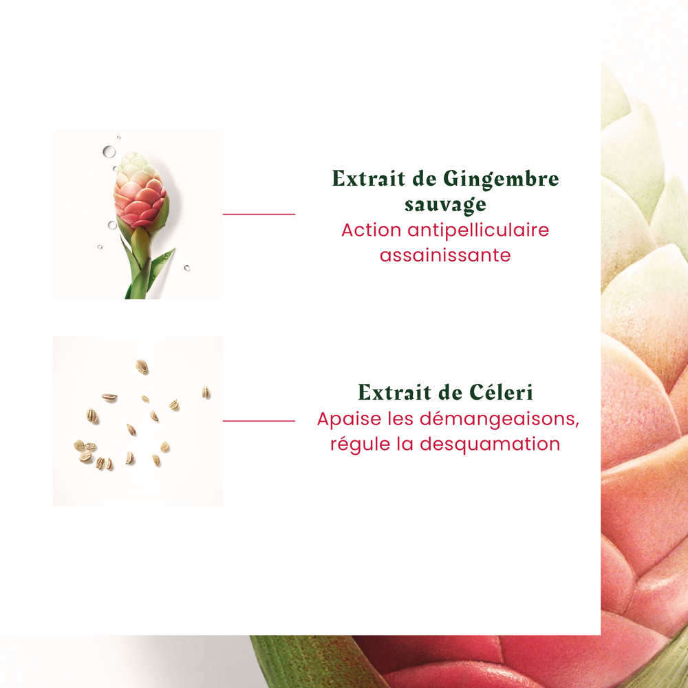 Shampoing Neopur Péllicules Sèches - René Furterer