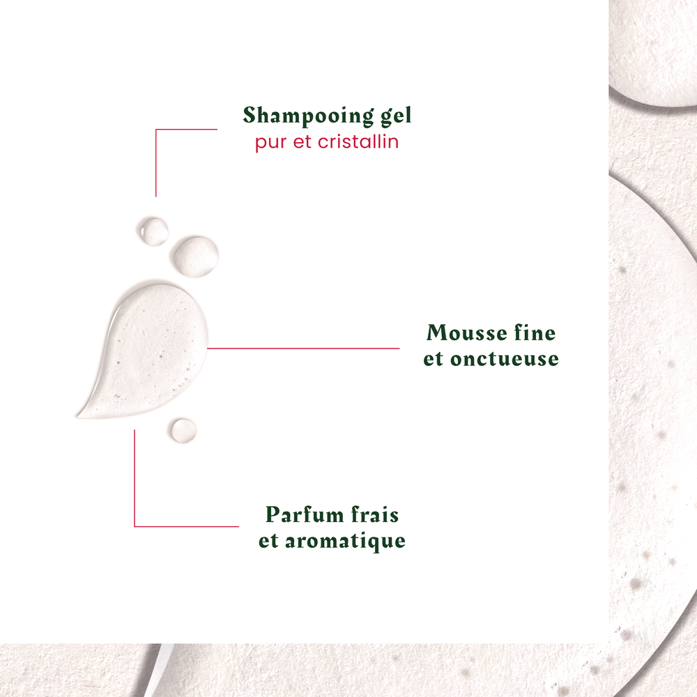 Shampoing Neopur Cuir Chevelu Gras - René Furterer