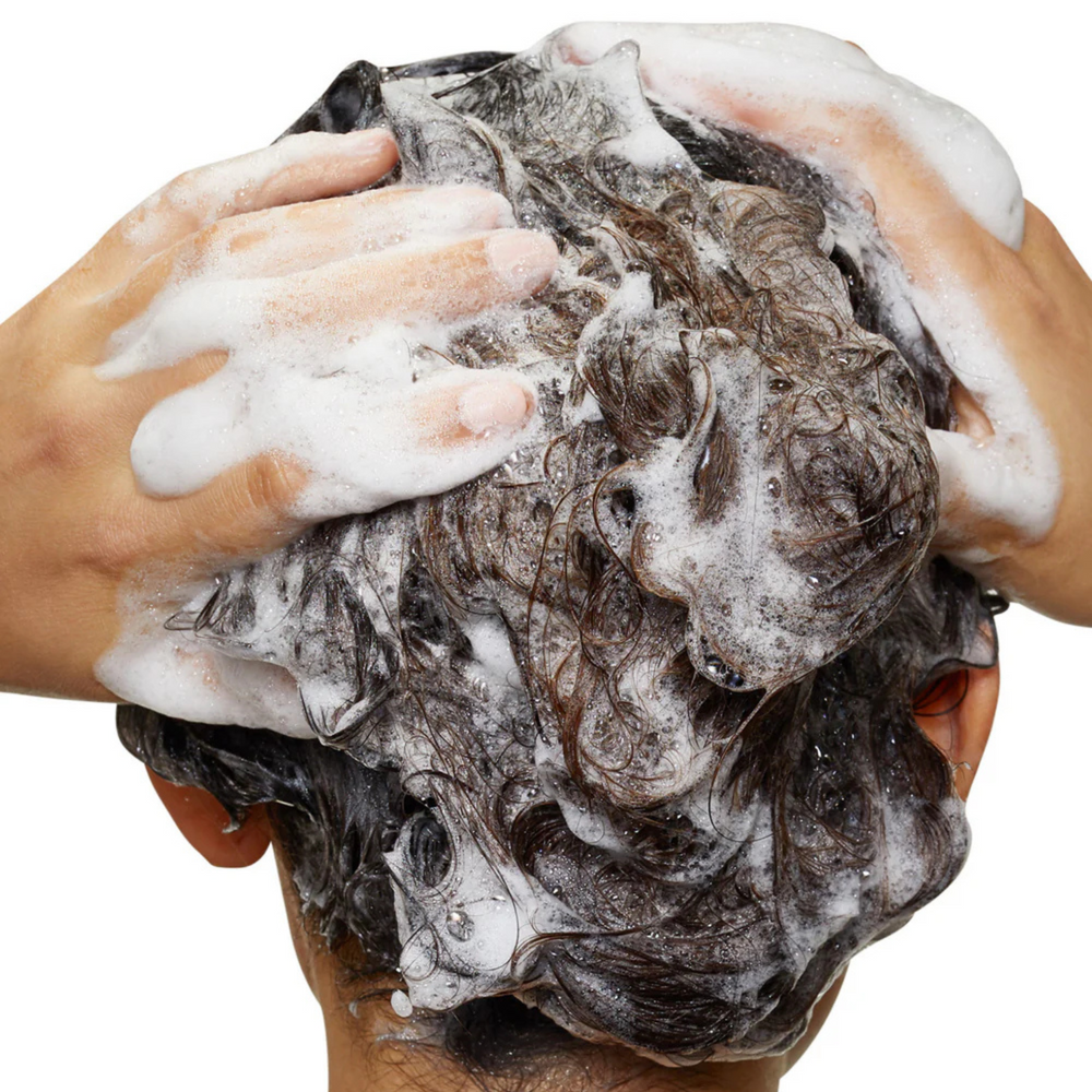 Flacon du Shampoing Rénovateur de Longueurs Pro Longer de L'Oréal Professionnel, soin capillaire pour cheveux longs.