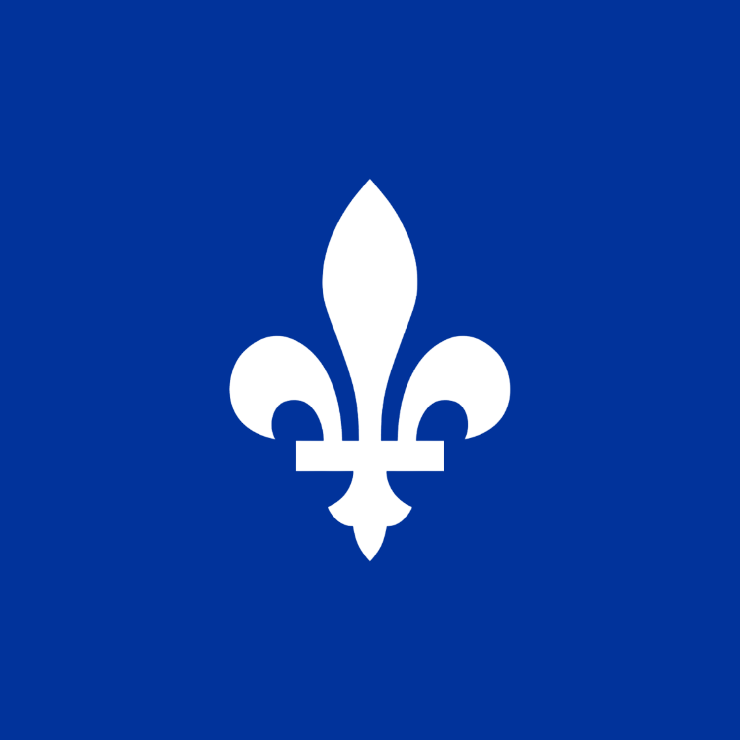 “Produits capillaires québécois – soins cheveux locaux chez Cachet Urbain”