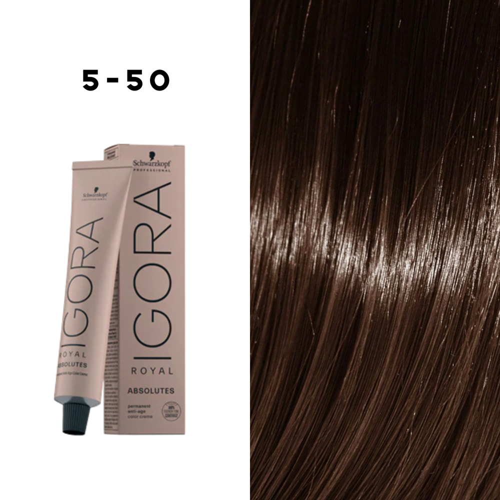 Coloration Permanente Igora Absolutes (60ml) - SCHWARZKOPF