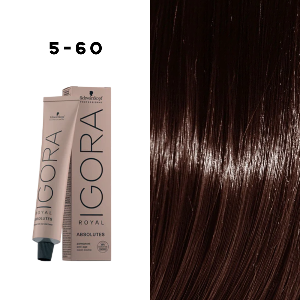 Coloration Permanente Igora Absolutes (60ml) - SCHWARZKOPF