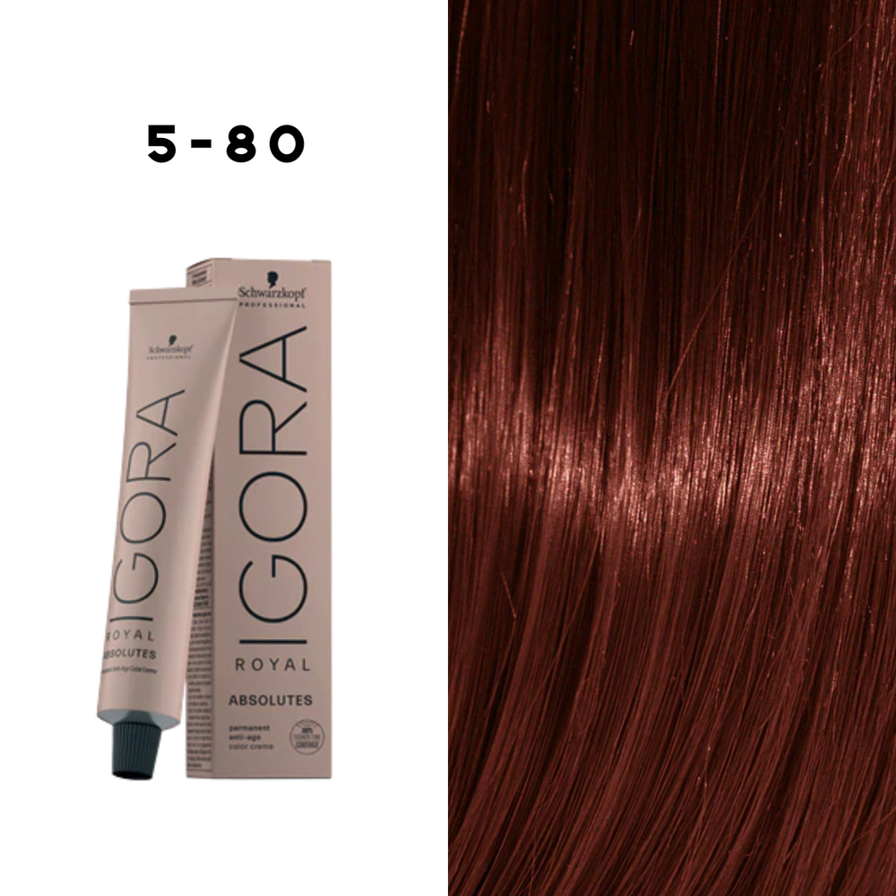 Coloration Permanente Igora Absolutes (60ml) - SCHWARZKOPF