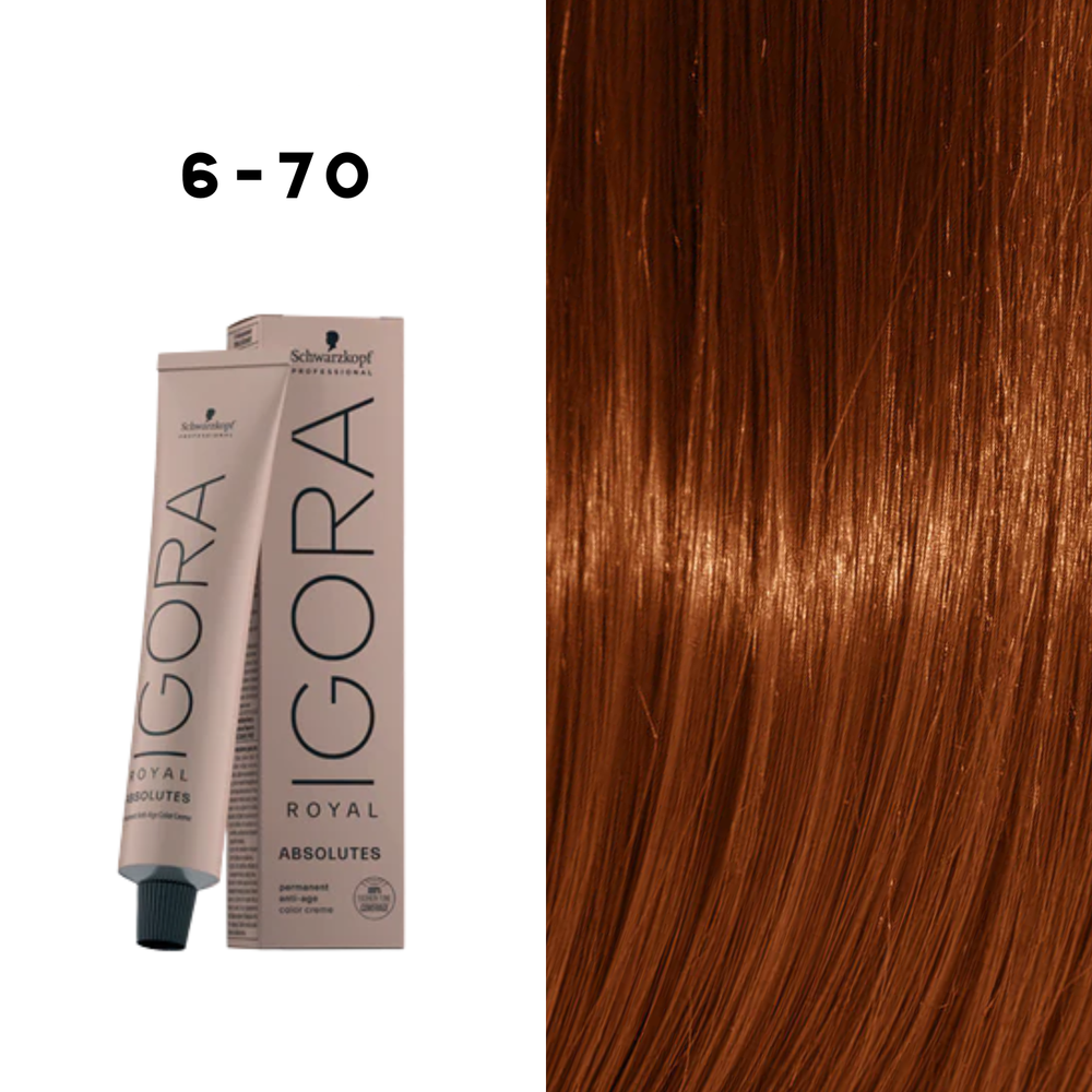 Coloration Permanente Igora Absolutes (60ml) - SCHWARZKOPF