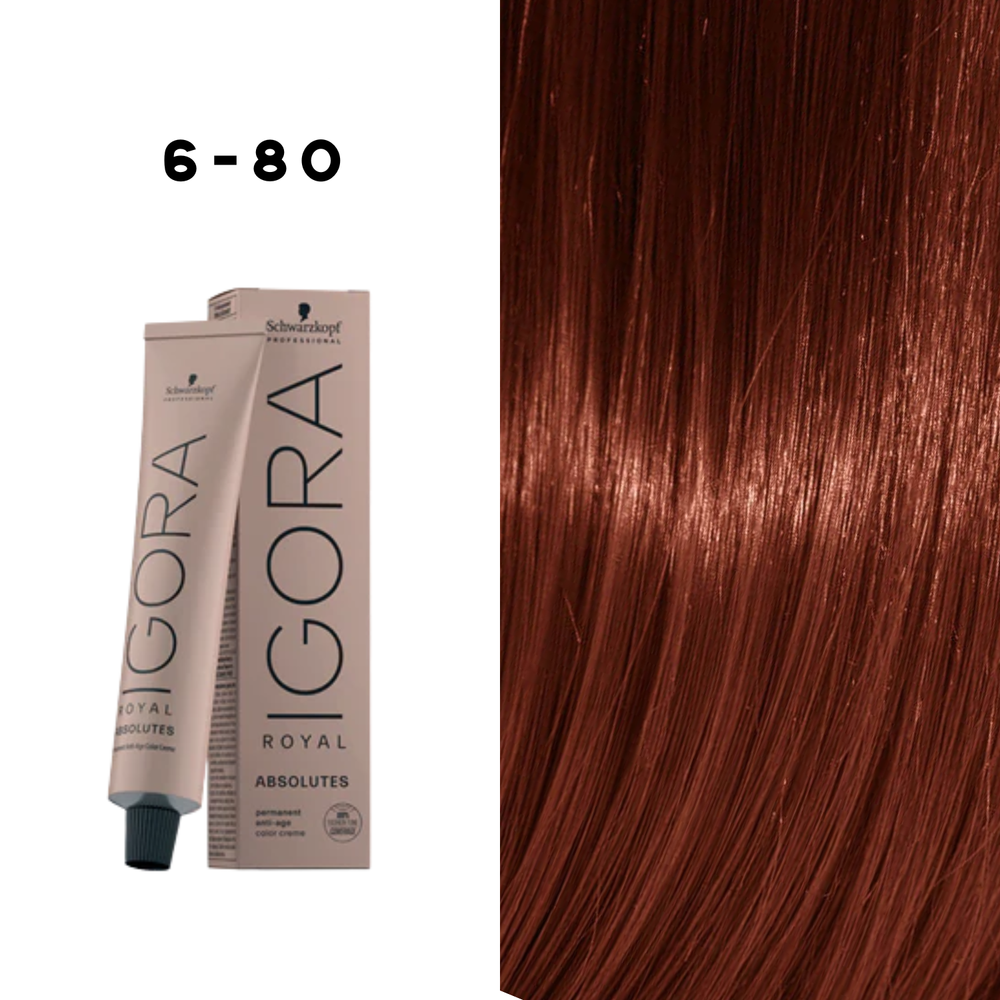 Coloration Permanente Igora Absolutes (60ml) - SCHWARZKOPF
