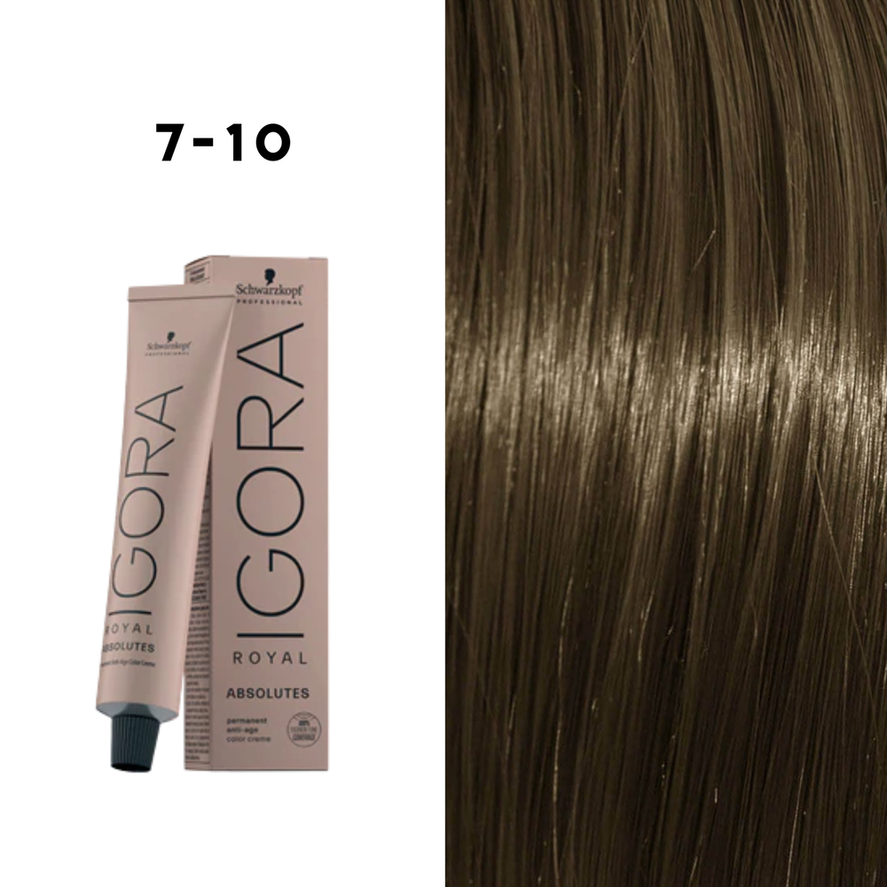 Coloration Permanente Igora Absolutes (60ml) - SCHWARZKOPF
