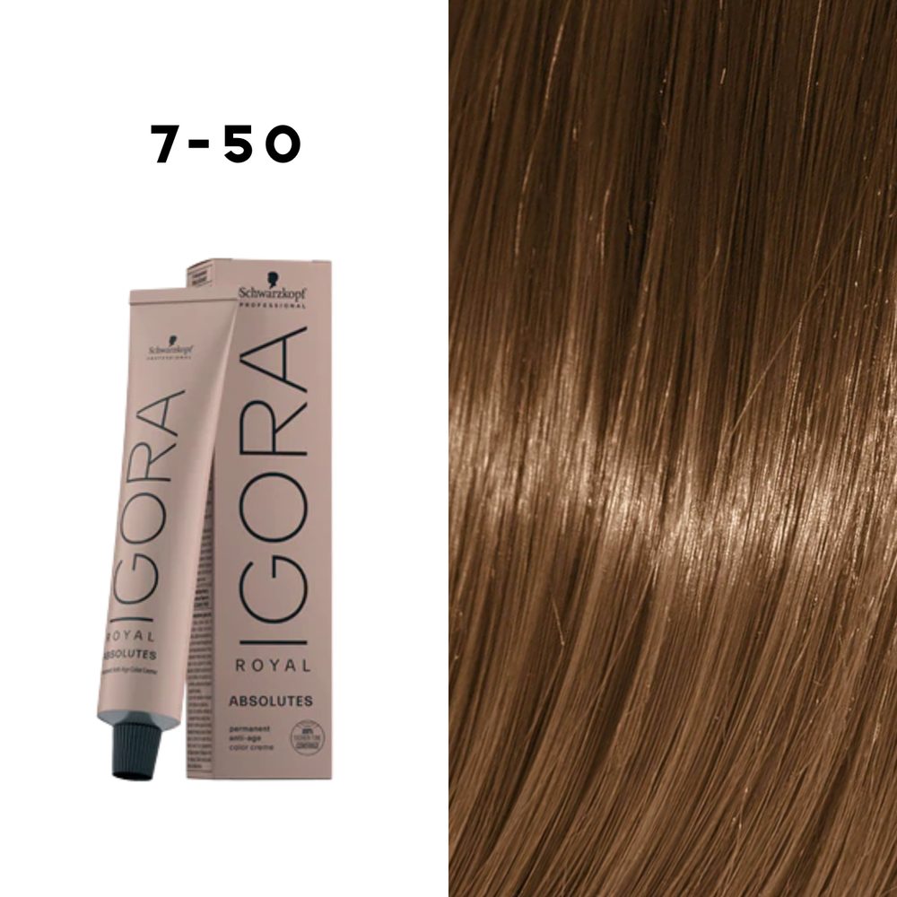 Coloration Permanente Igora Absolutes (60ml) - SCHWARZKOPF