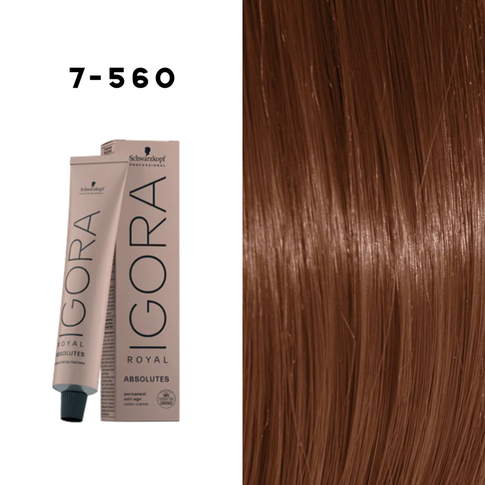 Coloration Permanente Igora Absolutes (60ml) - SCHWARZKOPF