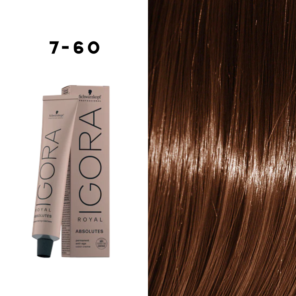 Coloration Permanente Igora Absolutes (60ml) - SCHWARZKOPF