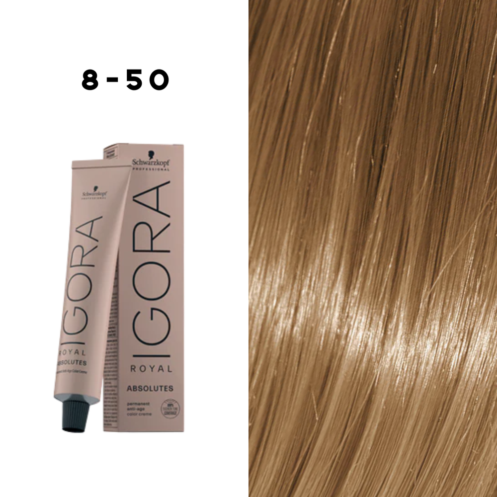 Coloration Permanente Igora Absolutes (60ml) - SCHWARZKOPF