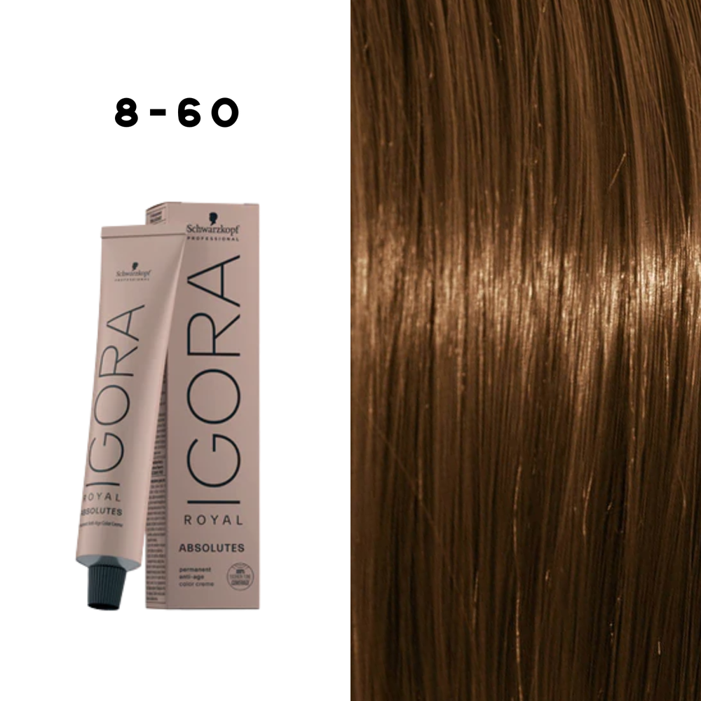 Coloration Permanente Igora Absolutes (60ml) - SCHWARZKOPF