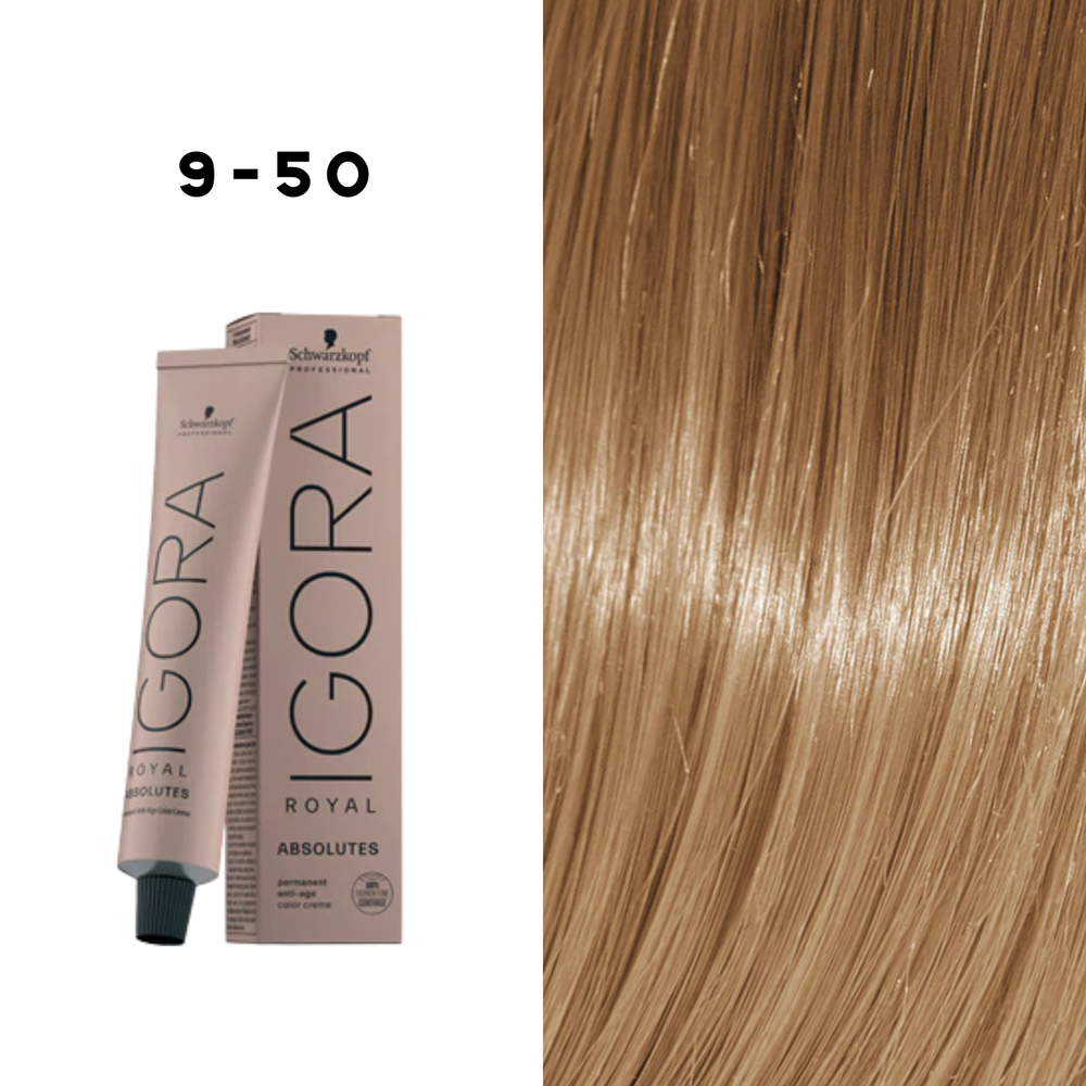 Coloration Permanente Igora Absolutes (60ml) - SCHWARZKOPF
