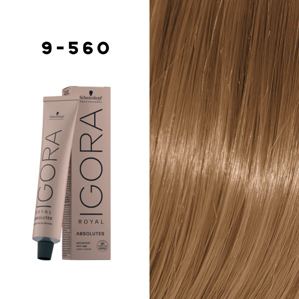 Coloration Permanente Igora Absolutes (60ml) - SCHWARZKOPF