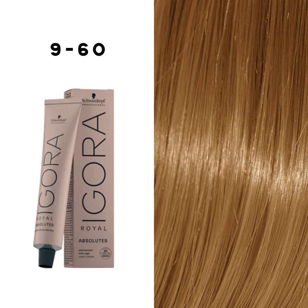 Coloration Permanente Igora Absolutes (60ml) - SCHWARZKOPF