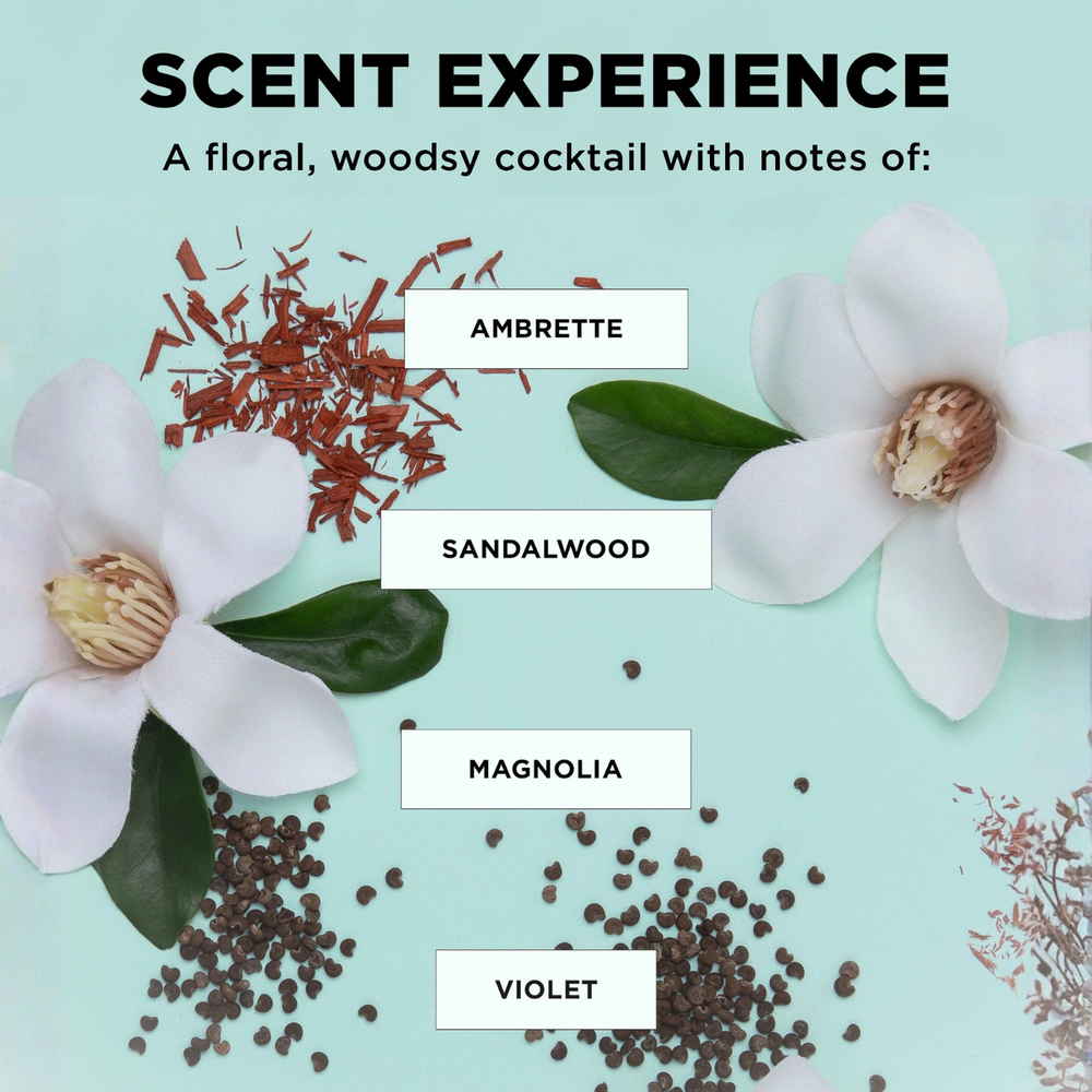 Duo hydratation intense DesignME Hair – masque hydratant et huile capillaire pour cheveux secs et brillants