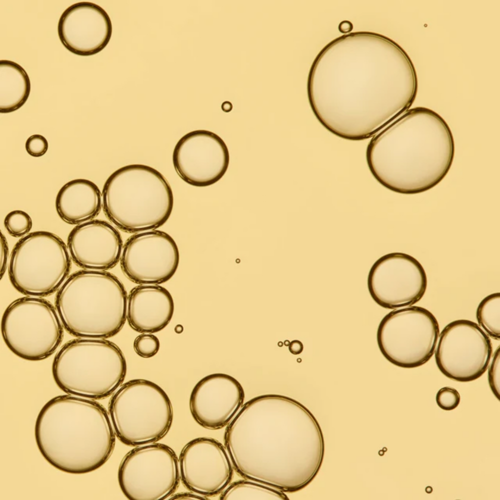 Flacon beige de l’huile No Frizz Vanishing Oil par Living Proof avec pipette, posé sur fond clair, évoquant légèreté, brillance et finesse capillaire.

