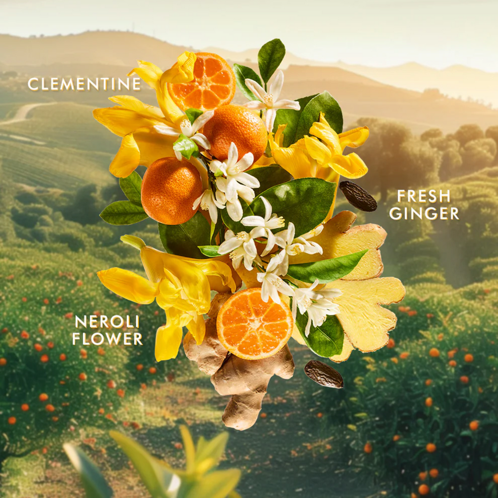 Tube 100 ml Moroccanoil Hand Cream Soleil de Tanger, crème mains hydratante parfum clémentine, gingembre et néroli à l’huile d’argan


