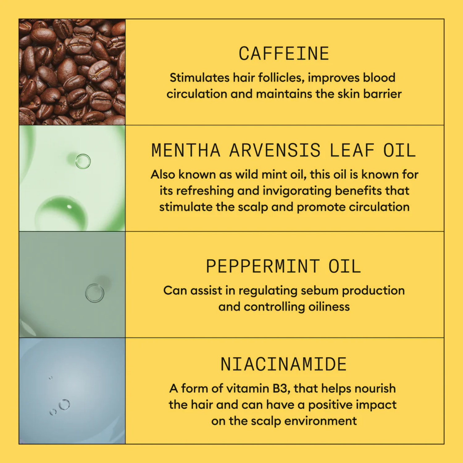 Traitement cuir chevelu Nioxin System 1 sans rinçage pour cheveux naturels clairsemés