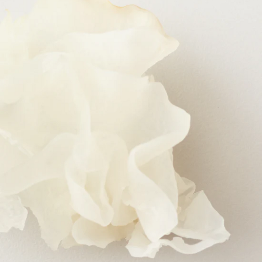 Pot de AG Care Nourish Snow Mushroom Moisture Mask sur fond neutre, cheveux brillants et brillants en arrière-plan