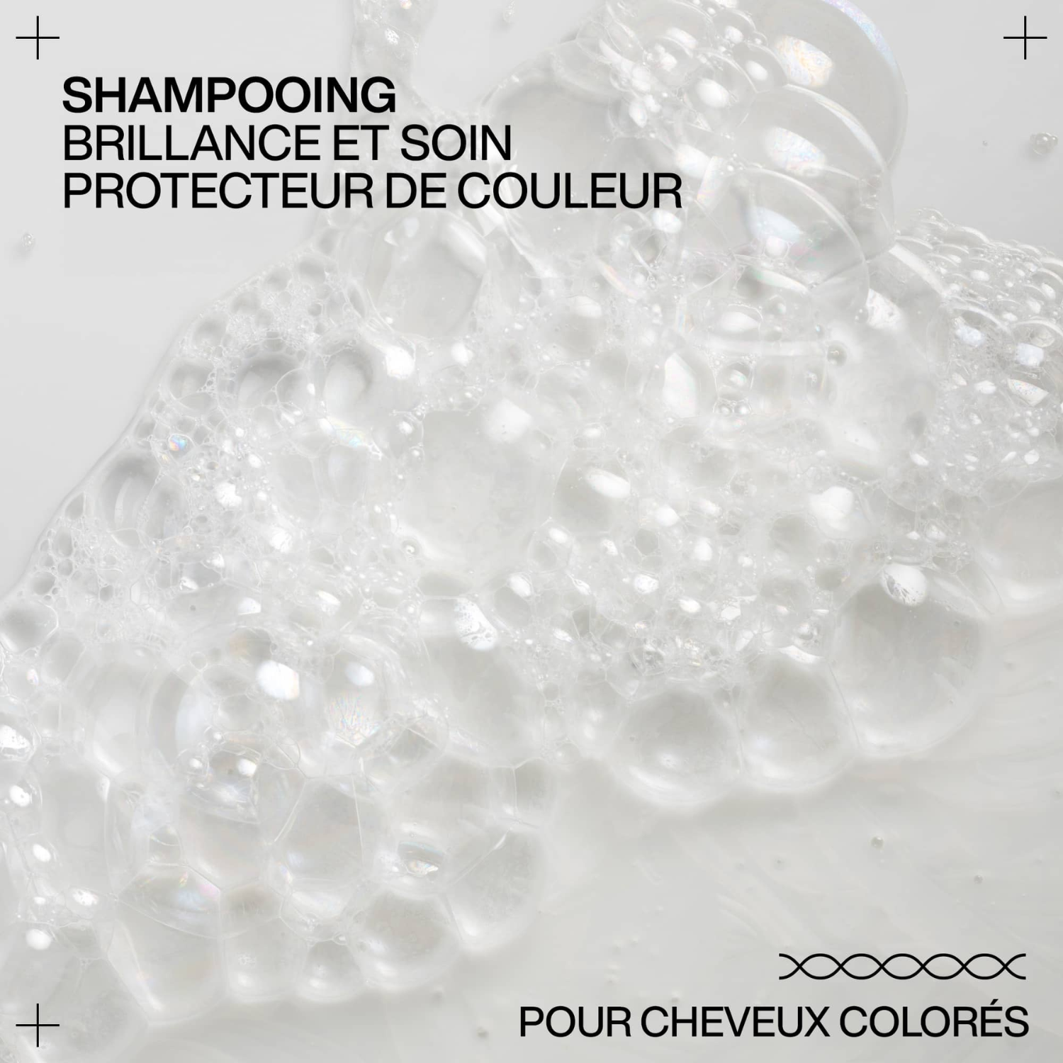 Flacon du shampoing Redken Acidic Color Gloss sans sulfate sur fond neutre