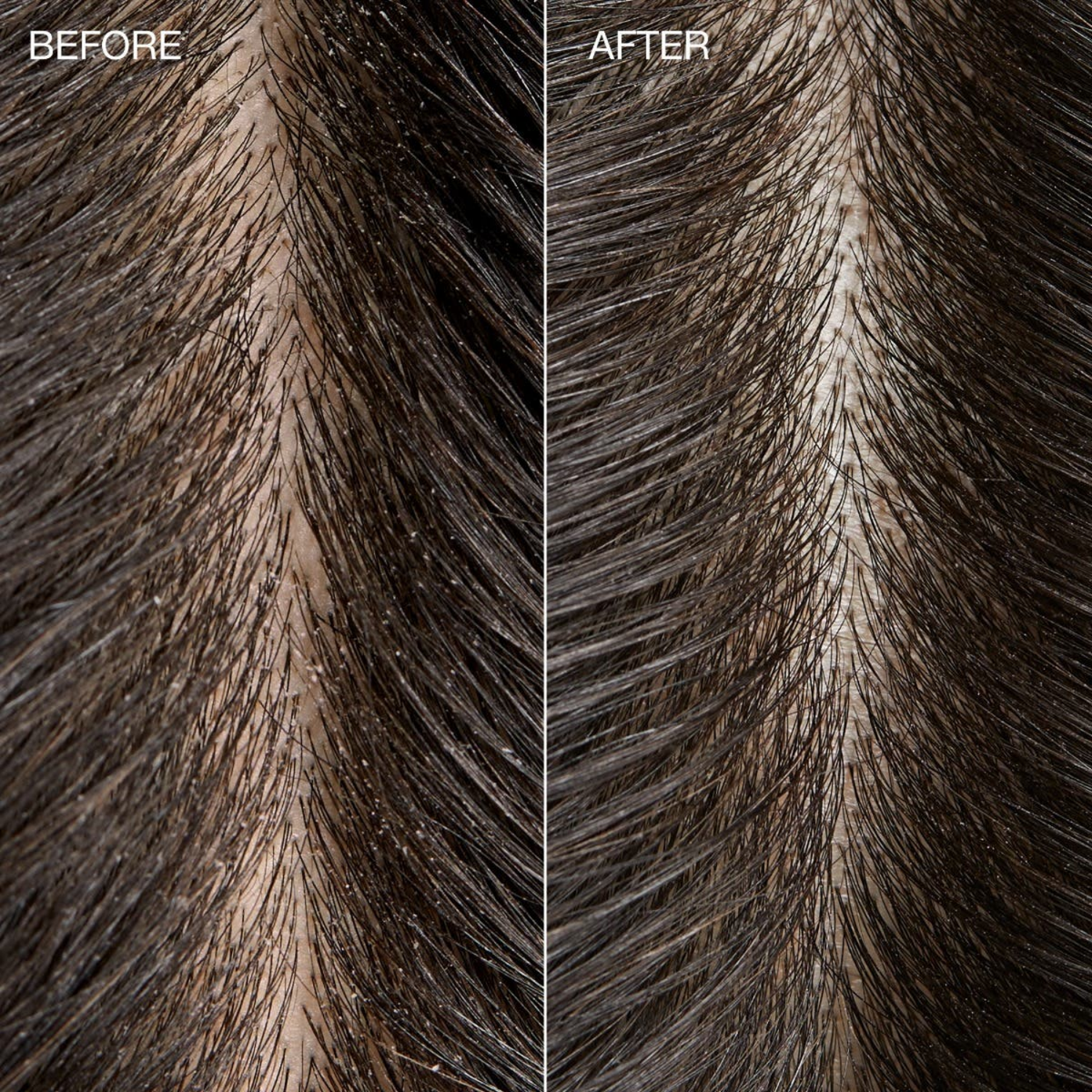 Rinçage capillaire détox Paul Mitchell Tea Tree Kombucha pour cuir chevelu et cheveux propres et brillants