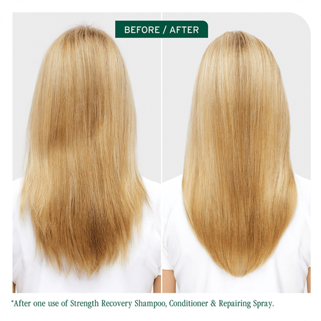 Shampoing Biolage Strength Recovery pour cheveux abîmés – formule squalane végétalien et protéines