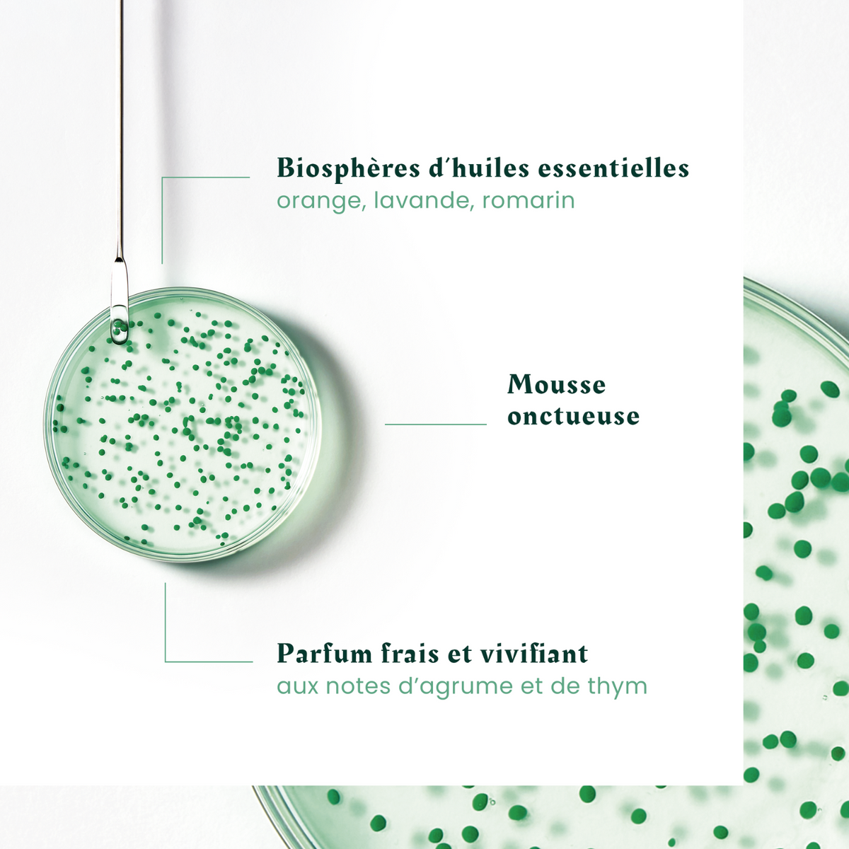 Flacon de shampooing Forticea René Furterer 250 ml, fortifiant et revitalisant avec vitamines B3 et B5

