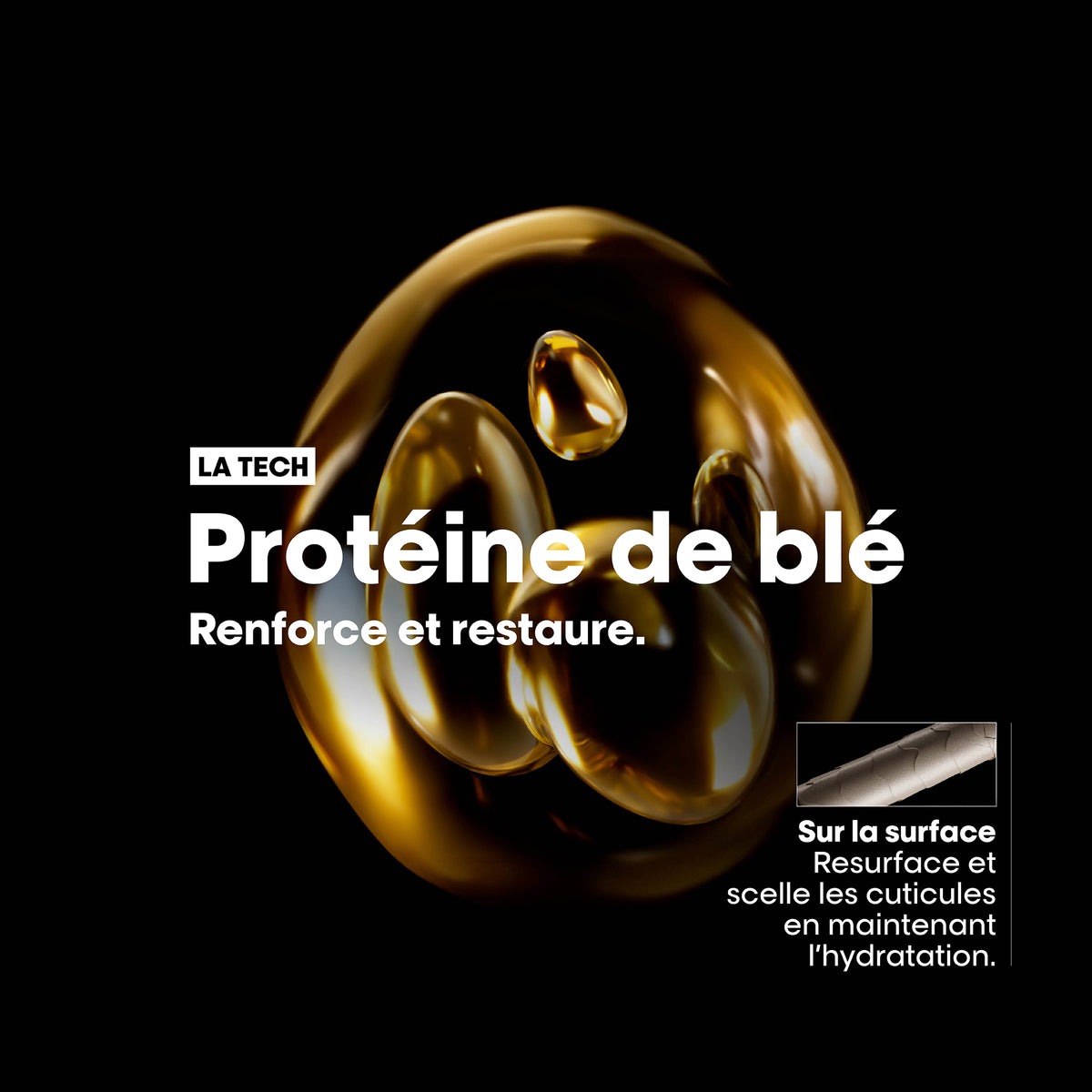 Absolut Repair Shampoo - L'Oréal