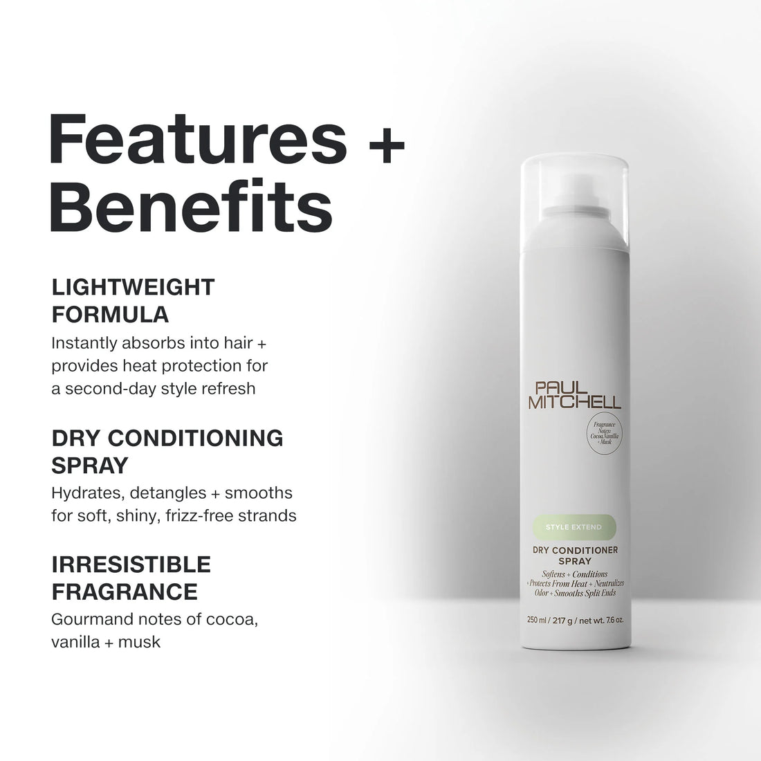Dry Conditioner Spray (250ml) - PAUL MITCHELL