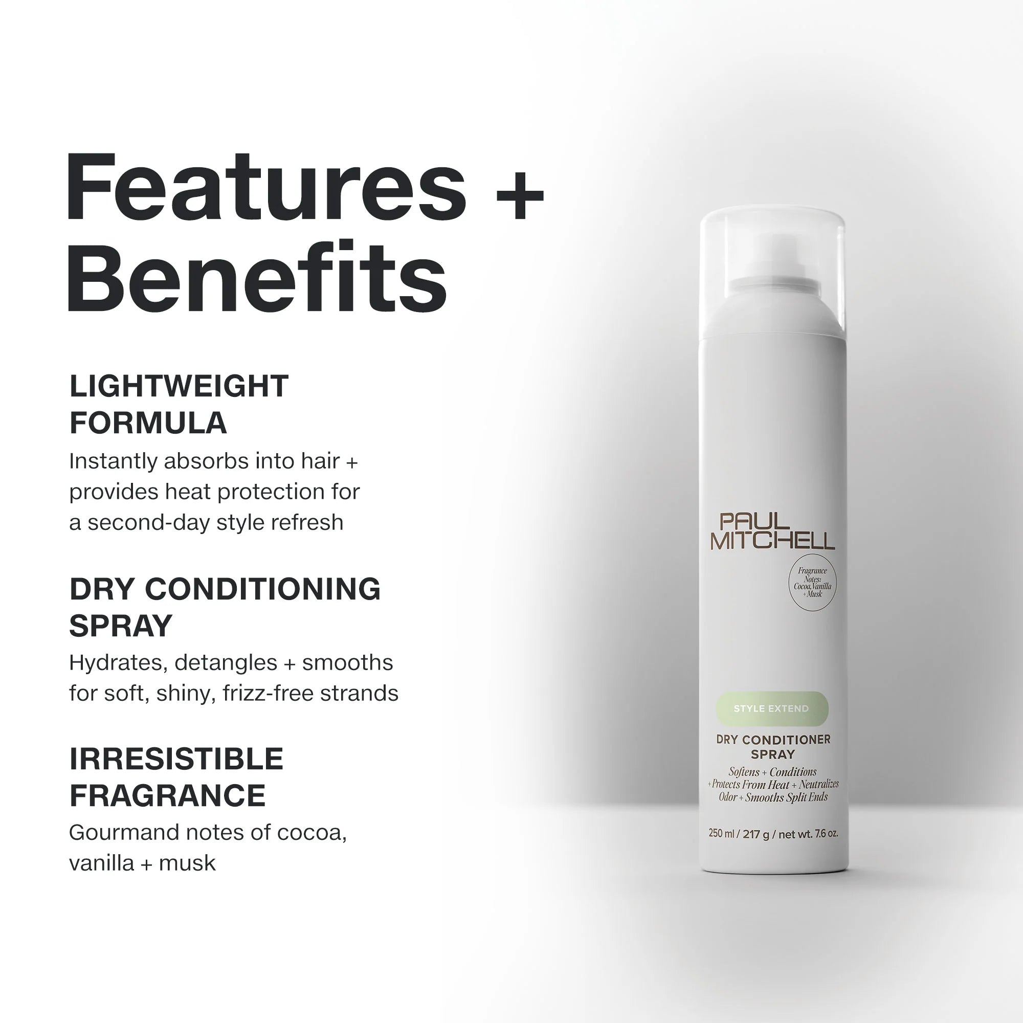 Spray Dry Conditioneur(250ml) - PAUL MITCHELL